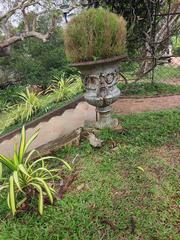 Ornate urn in garden at Napier Museum