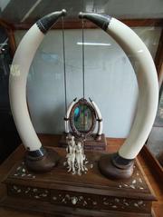Napier Museum art and archaeology museum in Kerala India