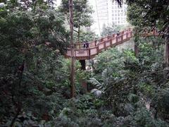 Elevated walkway at Edward Youde Aviary in Hong Kong