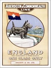 Vintage shipping poster for Aberdeen & Commonwealth Line showing a large ocean liner at sea