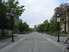 Scenic view of residential houses and parked cars along a tree-lined street on Kings College Road