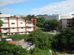 San Beda College and Manila LRT Pedestrian Footbridge Landscape