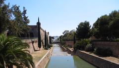 Scenic view of Potok Torrent de Sa Riera stream in Palma de Mallorca surrounded by lush vegetation