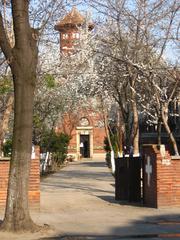 Cattedrale Di San Basilio Magno