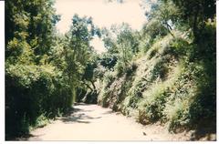 10050 Cielo Drive, Benedict Canyon, Los Angeles