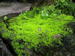 August 2003 cave in Ha Long featuring natural rock formations and sunlight