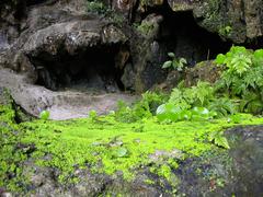 Interior view of a cave in Ha Long Bay with stalactites and stalagmites, August 2003