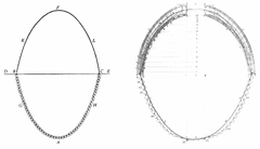Diagram showing the analogy between an arch and a hanging chain with comparison to the dome of St Peter's Cathedral in Rome