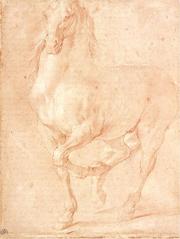 Detailed charcoal drawing study of a horse by Pierre Puget