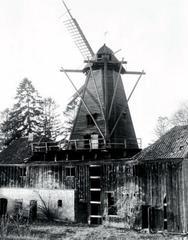 Żuławy Wiślane