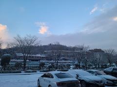 Sogang University campus building surrounded by trees