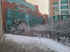 Sogang University campus buildings with greenery and a clear blue sky