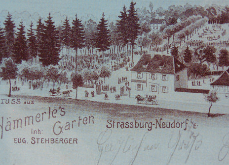 Vintage postcard of Hämmerle's Garten showing a lively garden scene from around 1910