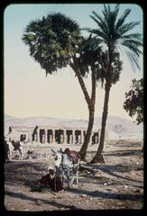 Temple of Kurna ruins in Thebes, Egypt with ancient stone pillars and hieroglyphs under blue sky