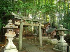 Shōren-in Buddhist temple surrounded by autumn foliage in Kyoto, Japan