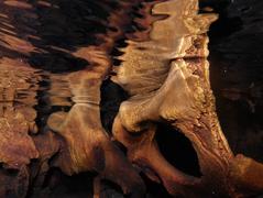 Deer Cave