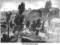 The Strawberry Beds landscape illustration from 1835 depicting riverside cottages and lush greenery