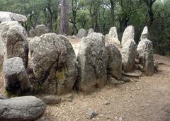 Dolmen of Cova d'en Daina entrance with stones and greenery