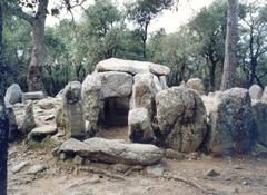 |
  Cova D'En Daina