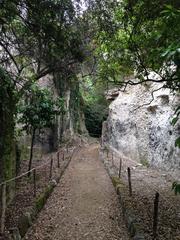 Latomie dei Cappuccini ancient stone quarries in Siracusa with caves and vegetation