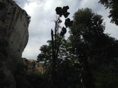 Ancient stone quarry Latomie dei Cappuccini in Siracusa with large carved stone walls and greenery