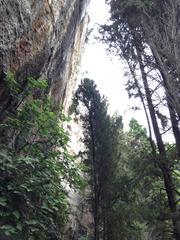 Ancient rock-cut caves of Latomie dei Cappuccini in Siracusa, Sicily