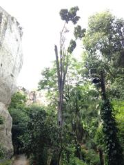 Latomie dei Cappuccini cave ruins in Siracusa with ancient stone walls and rocky terrain