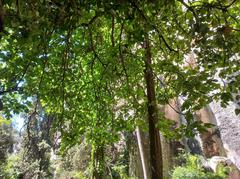 Ancient stone quarry Latomie dei Cappuccini in Syracuse with rocky walls and greenery