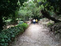 Ancient stone quarries Latomie dei Cappuccini in Siracusa Italy with rugged rock walls and greenery