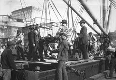 Fish market workers unloading cod at the Port, Porto