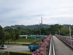 Scenic view of Bukit Timah Hill from pedestrian overpass over Upper Bukit Timah Road