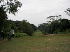 Bukit Timah Nature Reserve near Bukit Timah Expressway in Singapore with lush greenery and trees