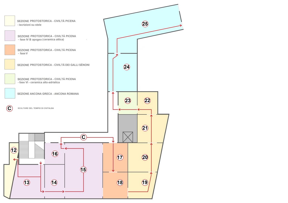 Map of the first floor of Museo Archeologico Nazionale delle Marche