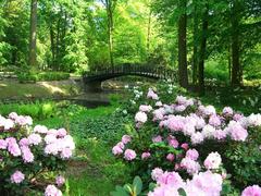 Bridge in Szczytnicki Park with greenery and blue sky