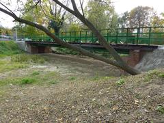 Relic of the Odra River called Black Water near Wojciecha z Brudzewa street with an unnamed bridge in the Zacisze settlement of Wrocław, Poland
