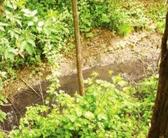 Fontanile Marcionino waters in Parco delle Cave, Milan in spring 2006