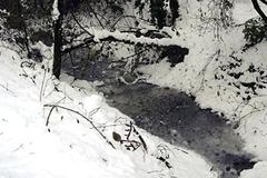 Parco delle Cave in Milan with waters of Fontanile Marcionino in winter