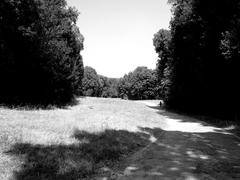 Pathway through the meadows of Capodimonte Forest in Naples