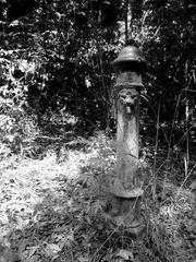 Old non-functional drinking fountain in Bosco di Capodimonte Naples