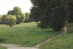 Trail in Capodimonte Park with lush greenery