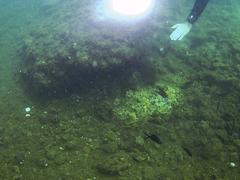 Fumerole underwater volcanic feature in the Archaeological Park of Baiae Italy