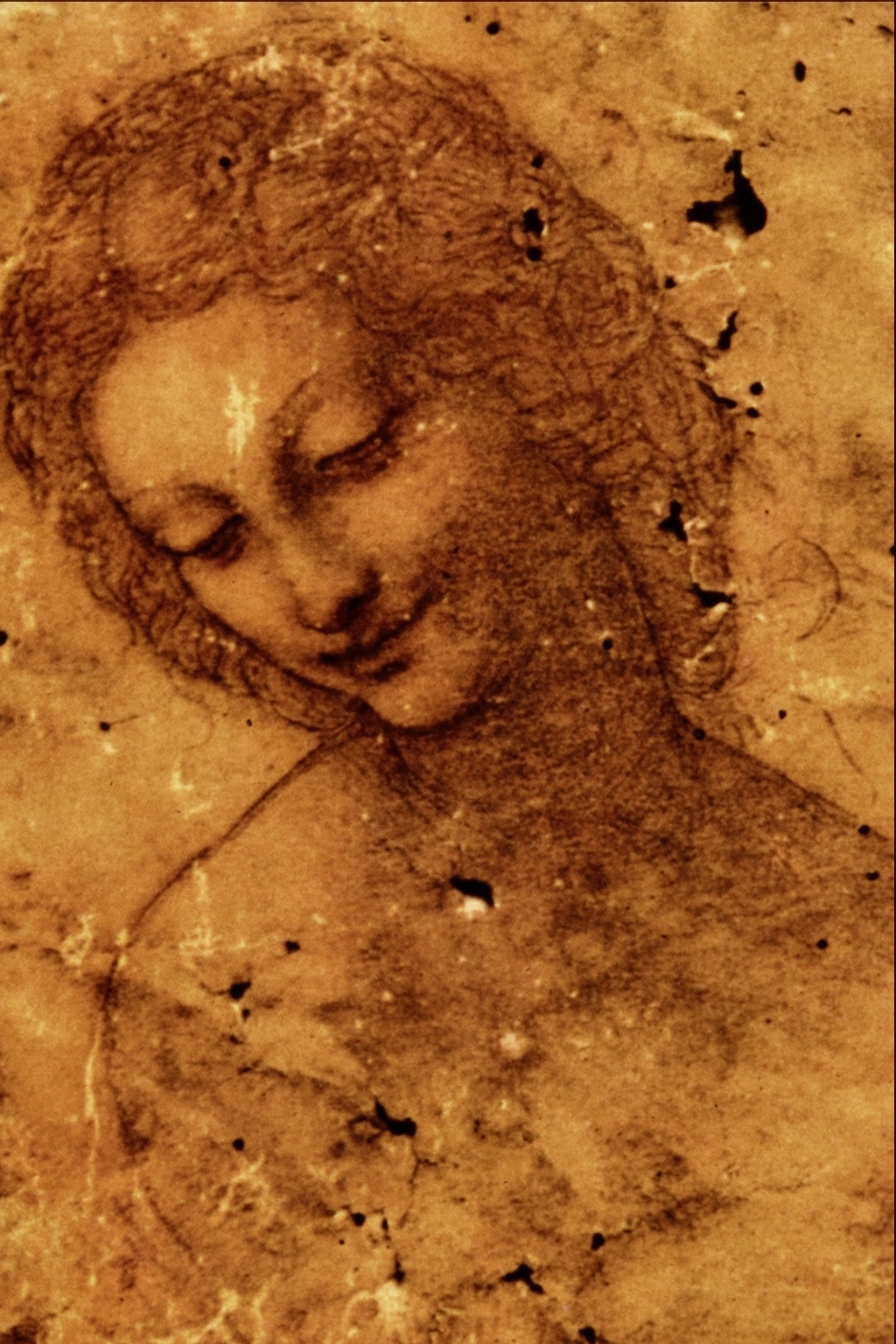Head of Leda drawing by Leonardo da Vinci in red chalk on red prepared paper