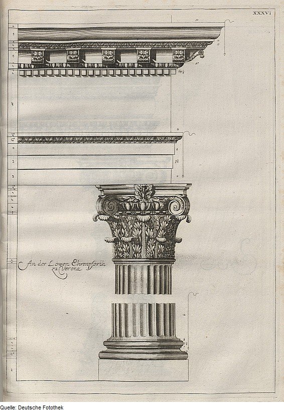 Composite order architectural column with ornate capital