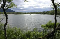 Scenic southward view of Prestvannet lake surrounded by lush greenery and trees in Tromsø park