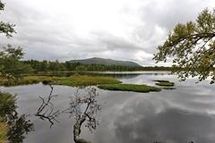 Prestvannet lake in Tromsø surrounded by autumn foliage under a cloudy sky