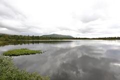 Scenic view of Prestvannet lake surrounded by autumn foliage in Tromsø
