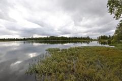 Prestvannet lake in Tromsø with autumn foliage and clear water
