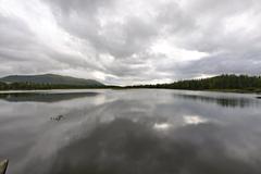 View of Prestvannet lake in Tromsø with surrounding trees under a cloudy sky