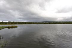 Scenic view of Prestvannet Lake surrounded by greenery and autumn foliage in Tromsø, Norway