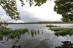 Scenic view of Prestvannet lake surrounded by trees in Tromsø during early autumn